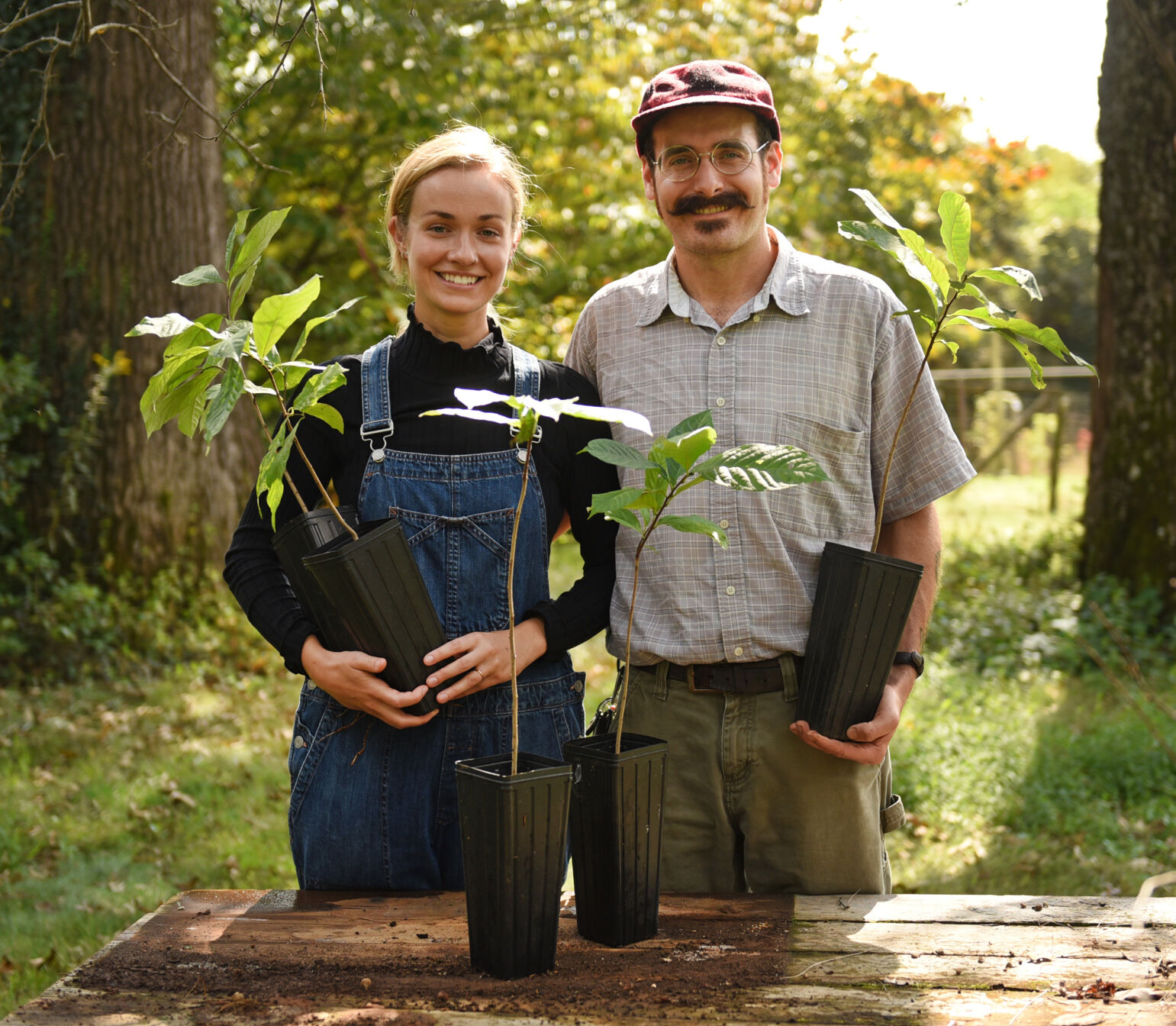 Bashavia Gardens pawpaw